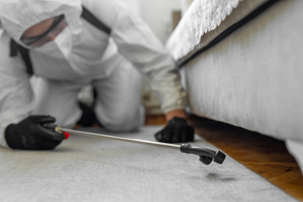 Professional Termite Control technician working in Westlake, LA